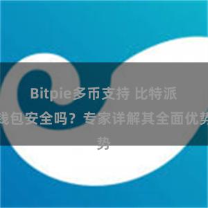 Bitpie多币支持 比特派钱包安全吗？专家详解其全面优势