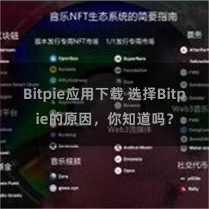 Bitpie应用下载 选择Bitpie的原因，你知道吗？