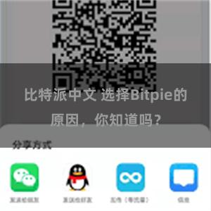 比特派中文 选择Bitpie的原因，你知道吗？