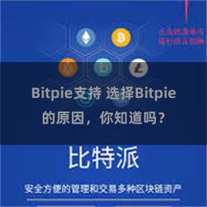 Bitpie支持 选择Bitpie的原因，你知道吗？