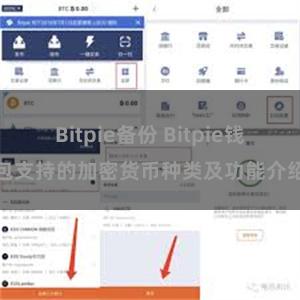 Bitpie备份 Bitpie钱包支持的加密货币种类及功能介绍