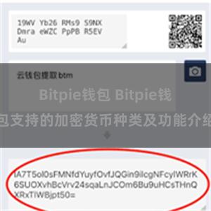 Bitpie钱包 Bitpie钱包支持的加密货币种类及功能介绍