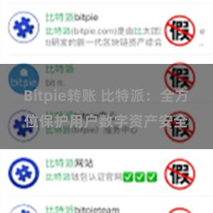 Bitpie转账 比特派：全方位保护用户数字资产安全