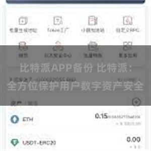 比特派APP备份 比特派：全方位保护用户数字资产安全