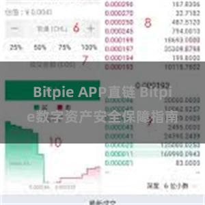 Bitpie APP直链 Bitpie数字资产安全保障指南