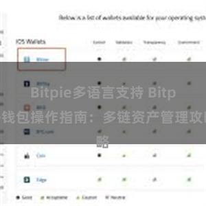 Bitpie多语言支持 Bitpie钱包操作指南：多链资产管理攻略