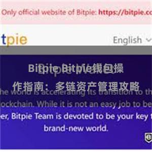 Bitpie Bitpie钱包操作指南：多链资产管理攻略