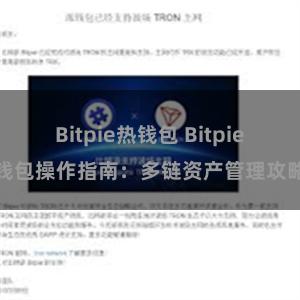 Bitpie热钱包 Bitpie钱包操作指南：多链资产管理攻略