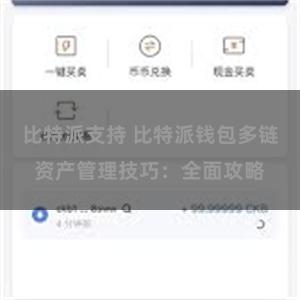 比特派支持 比特派钱包多链资产管理技巧：全面攻略