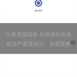 比特派国际版 比特派钱包多链资产管理技巧：全面攻略