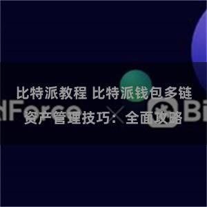 比特派教程 比特派钱包多链资产管理技巧：全面攻略