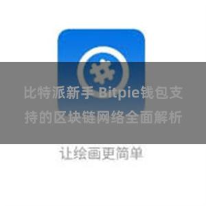 比特派新手 Bitpie钱包支持的区块链网络全面解析