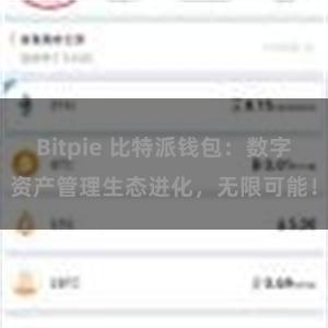 Bitpie 比特派钱包：数字资产管理生态进化，无限可能！