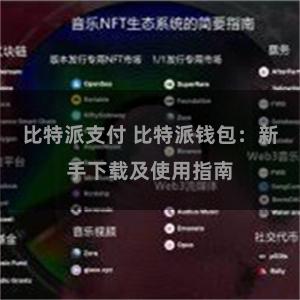 比特派支付 比特派钱包：新手下载及使用指南