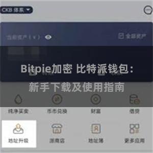 Bitpie加密 比特派钱包：新手下载及使用指南