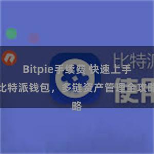 Bitpie手续费 快速上手比特派钱包，多链资产管理全攻略