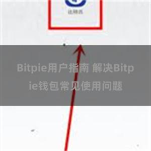 Bitpie用户指南 解决Bitpie钱包常见使用问题