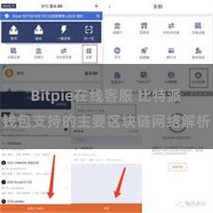 Bitpie在线客服 比特派钱包支持的主要区块链网络解析