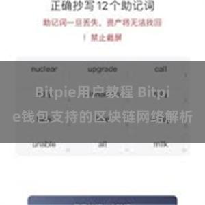 Bitpie用户教程 Bitpie钱包支持的区块链网络解析