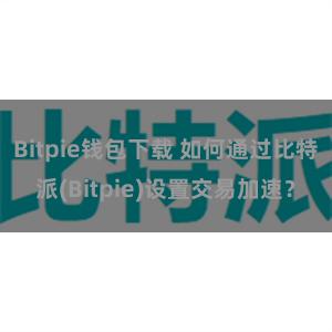 Bitpie钱包下载 如何通过比特派(Bitpie)设置交易加速？