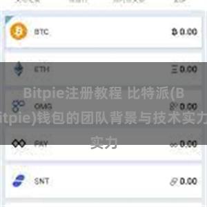 Bitpie注册教程 比特派(Bitpie)钱包的团队背景与技术实力