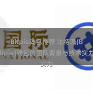 Bitpie钱包推荐 比特派(Bitpie)钱包的团队背景与技术实力