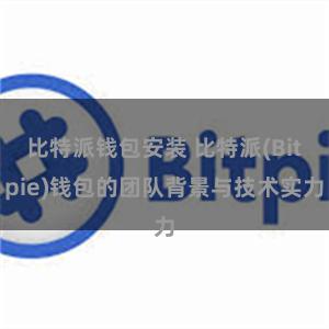 比特派钱包安装 比特派(Bitpie)钱包的团队背景与技术实力