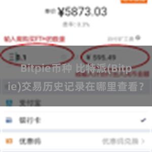 Bitpie币种 比特派(Bitpie)交易历史记录在哪里查看？