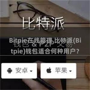 Bitpie在线管理 比特派(Bitpie)钱包适合何种用户？