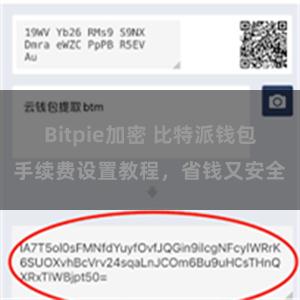 Bitpie加密 比特派钱包手续费设置教程，省钱又安全