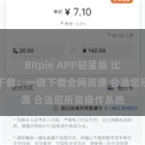 Bitpie APP轻量版 比特派跨平台下载：一键下载全网资源 合适您所需操作系统
