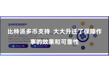 比特派多币支持  大大升迁了保障作事的效果和可靠性
