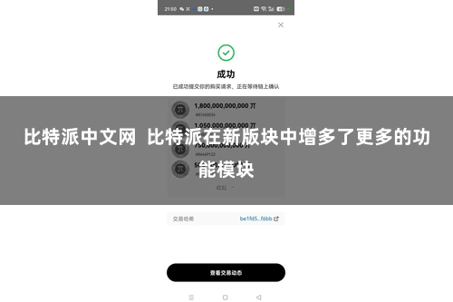 比特派中文网  比特派在新版块中增多了更多的功能模块