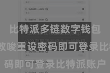 比特派多链数字钱包  按照教唆重设密码即可登录比特派账户