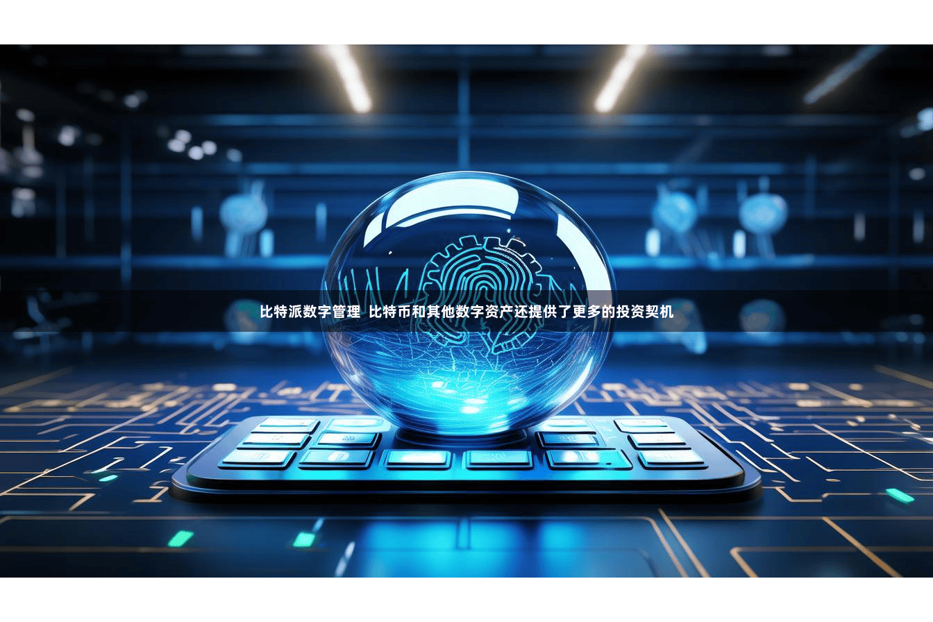 比特派数字管理  比特币和其他数字资产还提供了更多的投资契机