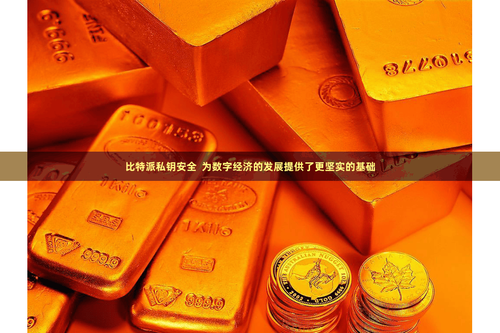 比特派私钥安全  为数字经济的发展提供了更坚实的基础